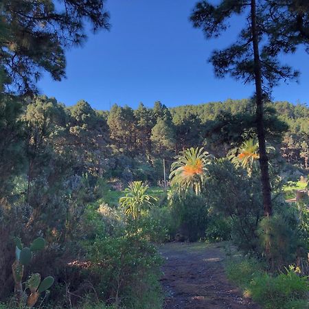 Monte Frio De Tenerife La Guancha ภายนอก รูปภาพ