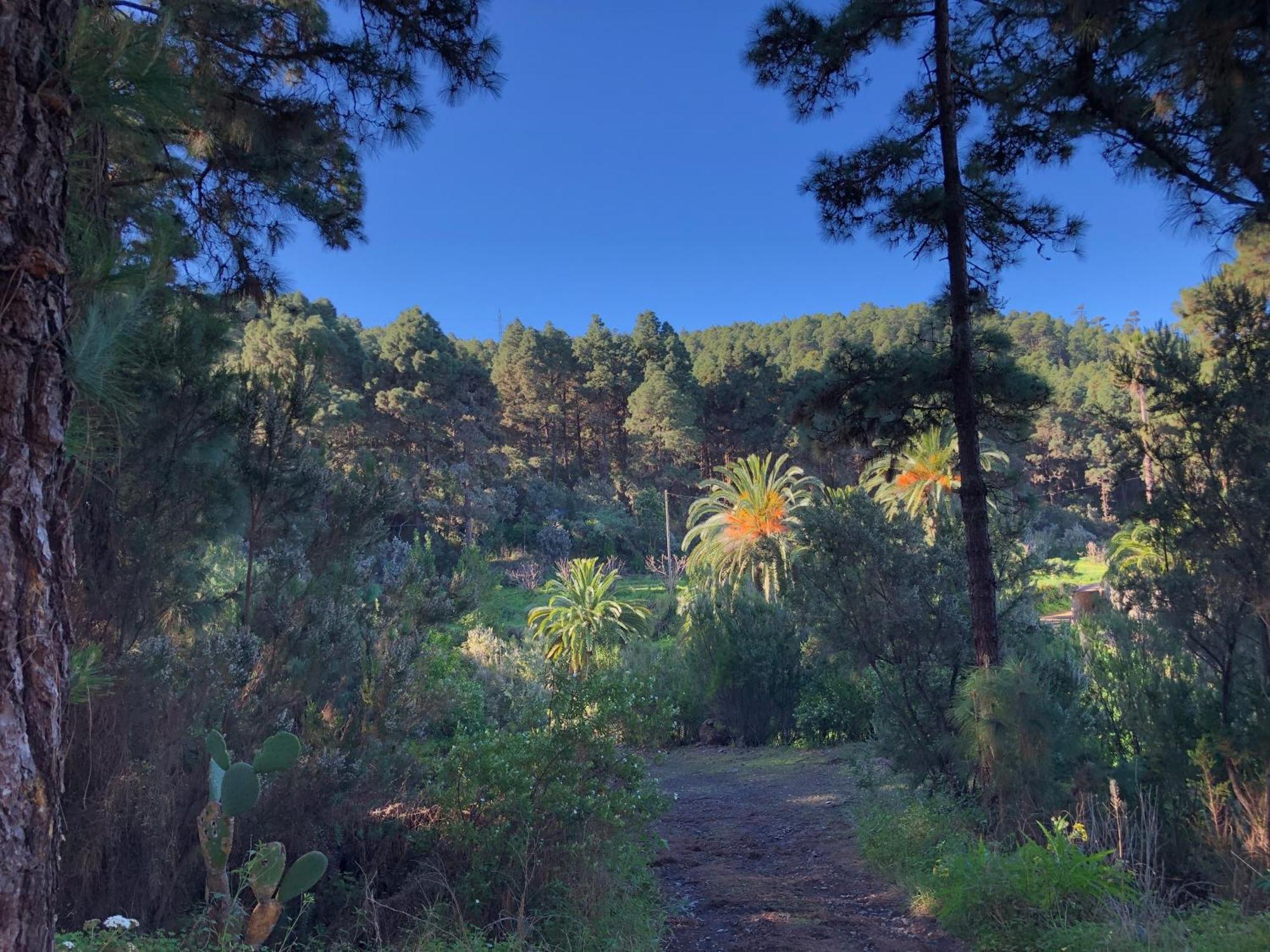 Monte Frio De Tenerife La Guancha ภายนอก รูปภาพ