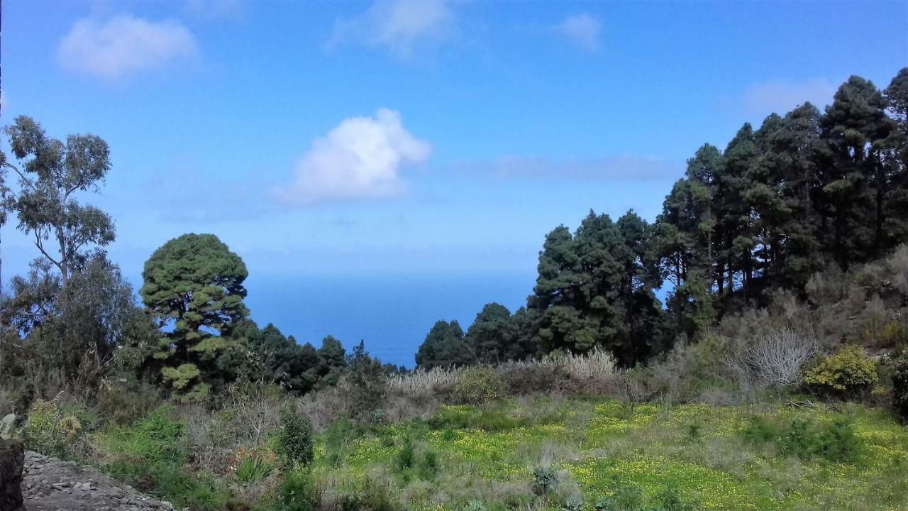 Monte Frio De Tenerife La Guancha ภายนอก รูปภาพ