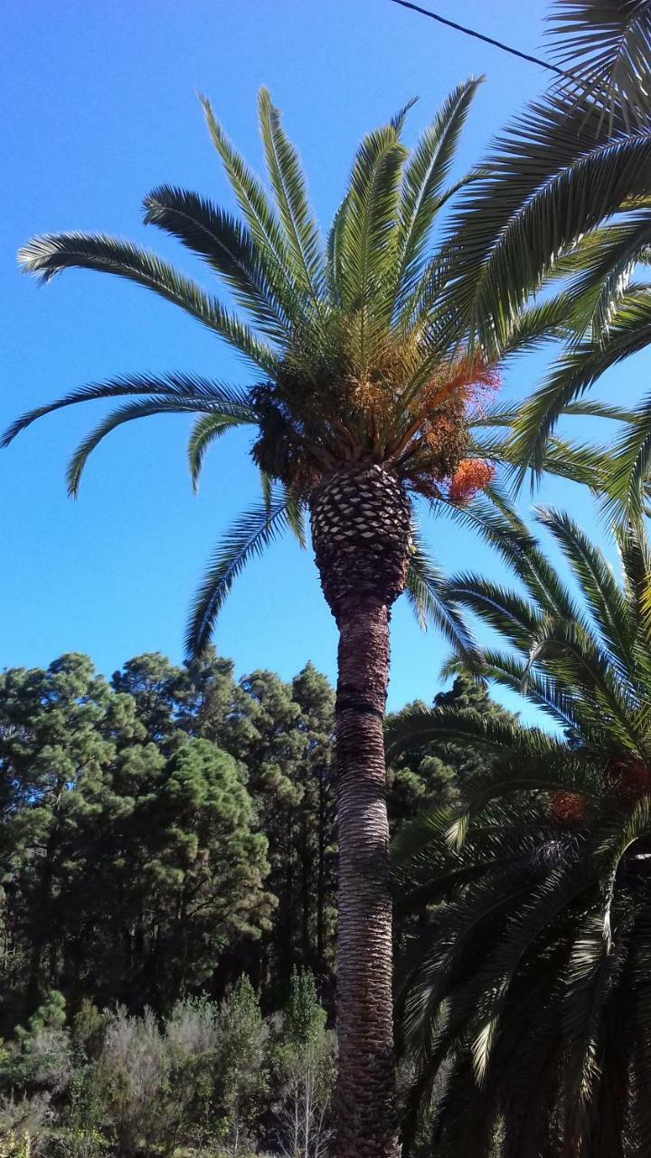 Monte Frio De Tenerife La Guancha ภายนอก รูปภาพ